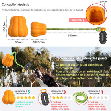 jouet interactif citrouille pour chien Avec poignée extérieur jouets de récupération pour chiens Jouet Mâcher pour chien durable
